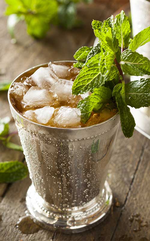 How to Make a Mint Julep Cocktail